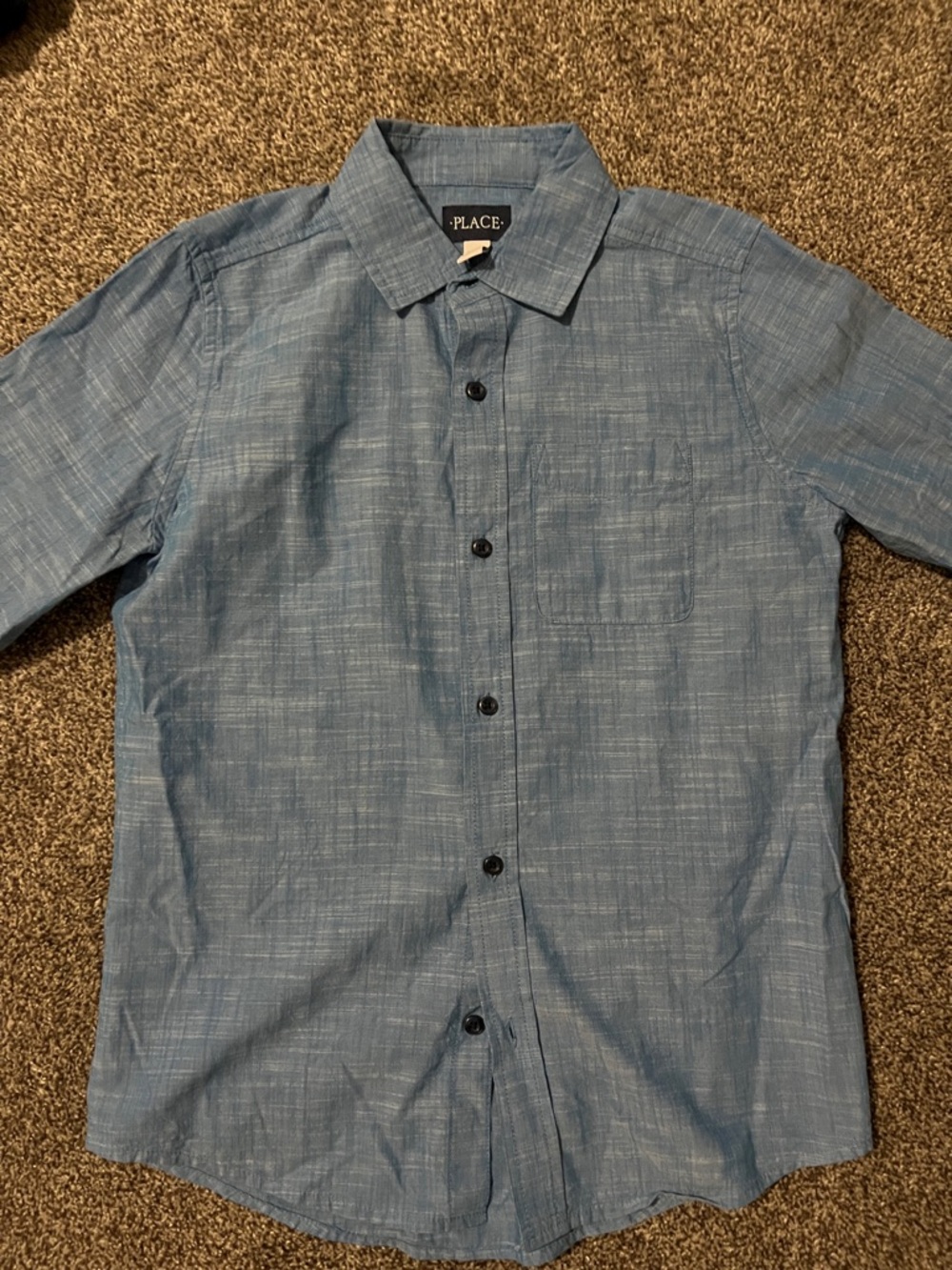 The Children's Place Light Blue Short-Sleeve Button-Down Shirt